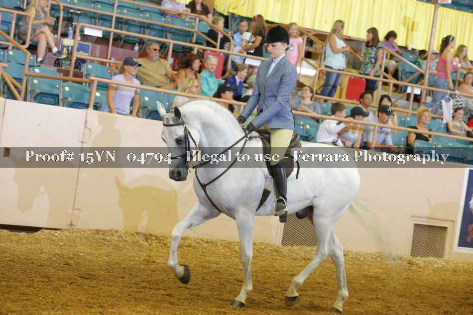 Proof Number 15YN_04794