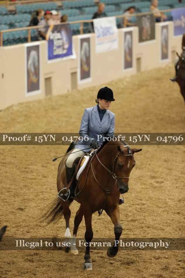 Proof Number 15YN_04796