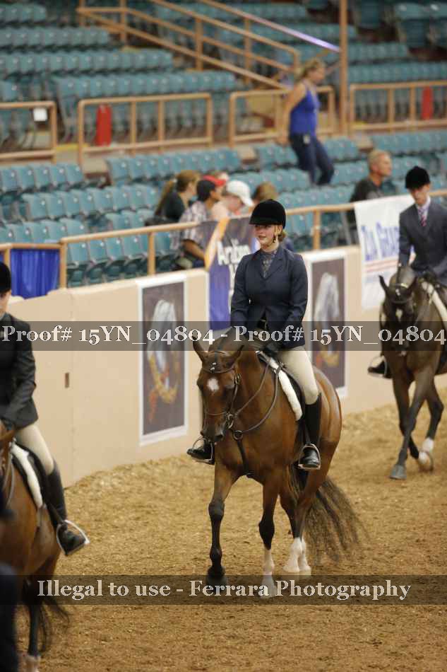 Proof Number 15YN_04804