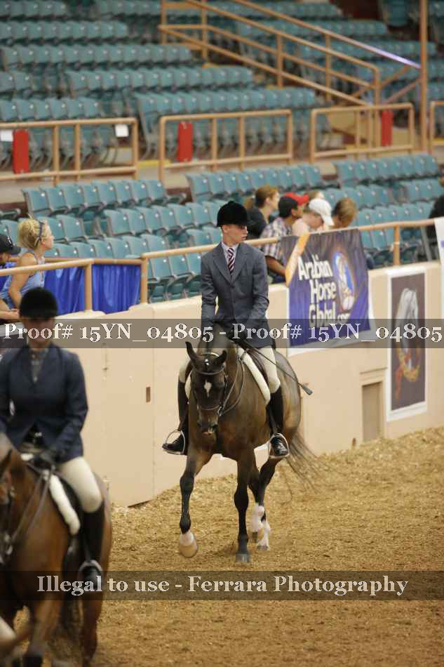 Proof Number 15YN_04805