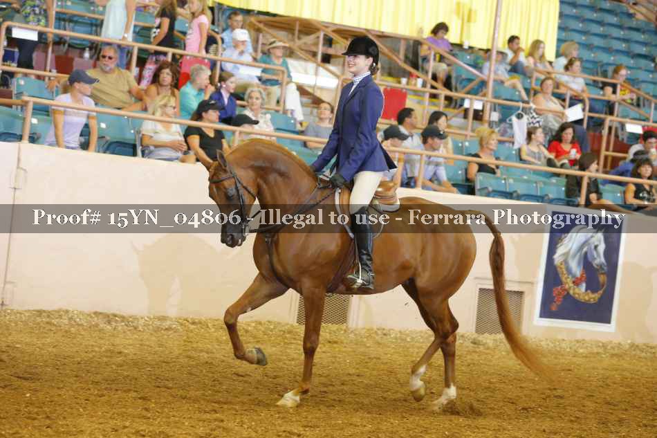 Proof Number 15YN_04806