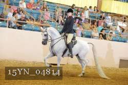 15YN_04814 thumbnail