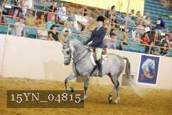 15YN_04815 thumbnail