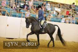15YN_04821 thumbnail