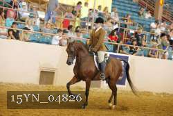 15YN_04826 thumbnail