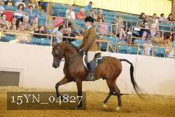 15YN_04827 thumbnail