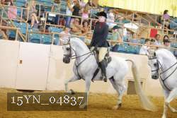 15YN_04837 thumbnail