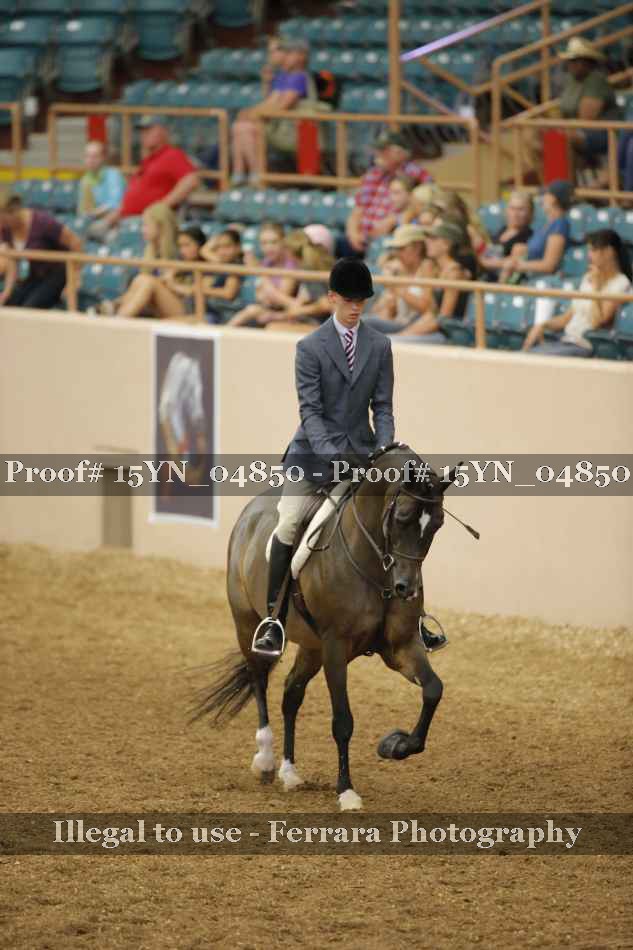 Proof Number 15YN_04850