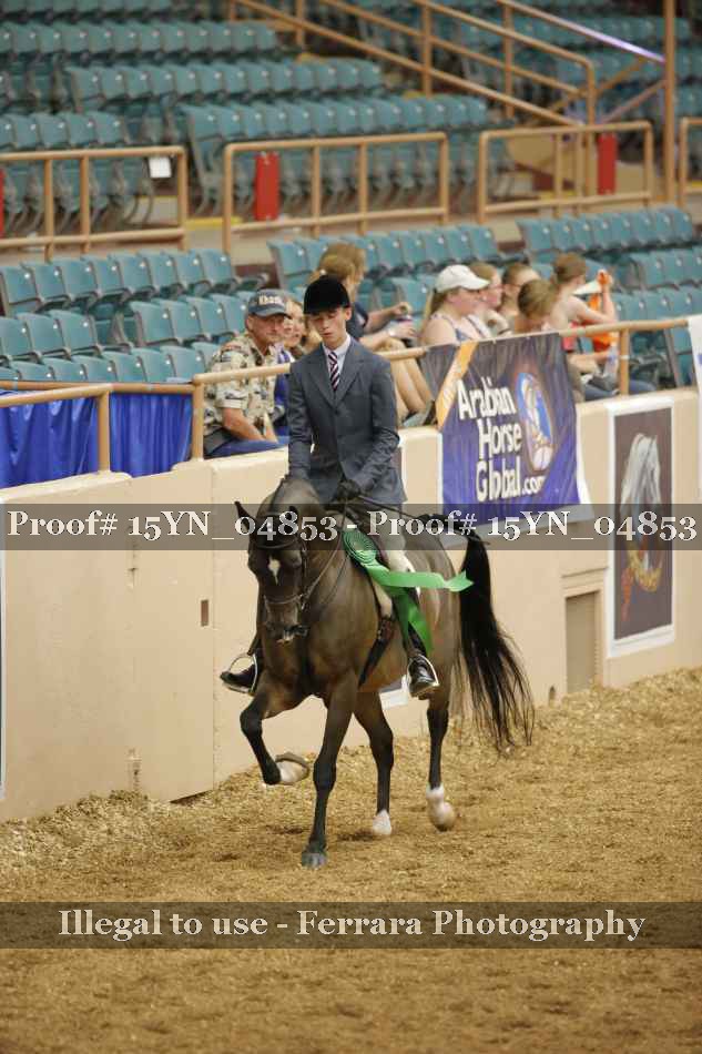 Proof Number 15YN_04853