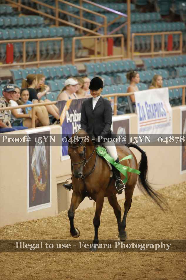 Proof Number 15YN_04878
