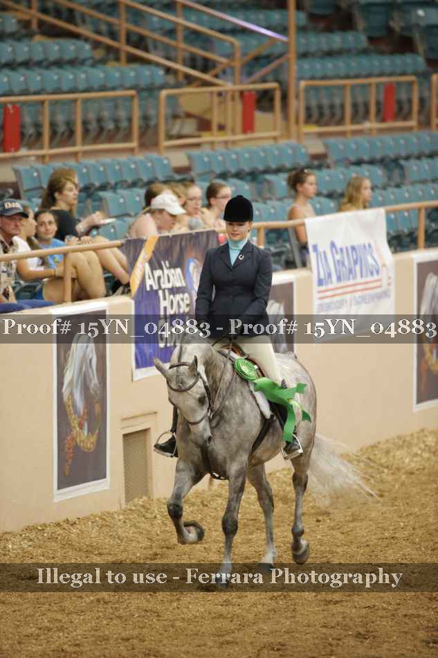 Proof Number 15YN_04883