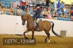 15YN_13929 thumbnail