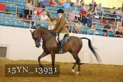 15YN_13931 thumbnail