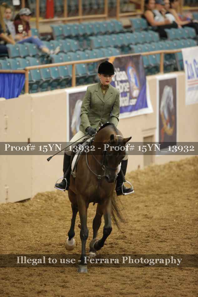 Proof Number 15YN_13932