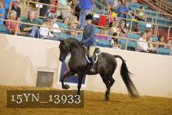 15YN_13933 thumbnail