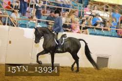 15YN_13934 thumbnail