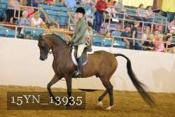 15YN_13935 thumbnail