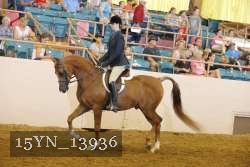 15YN_13936 thumbnail
