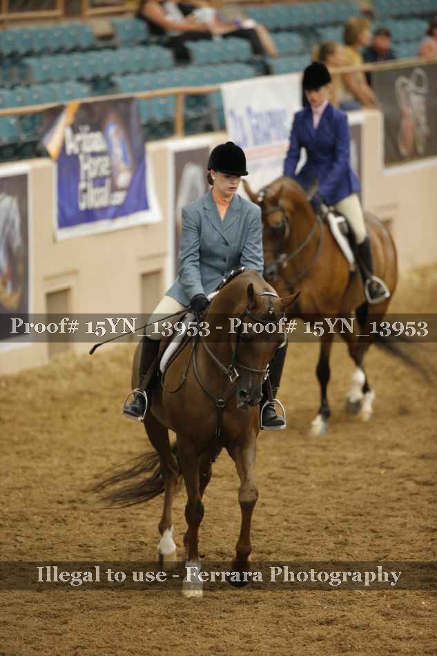 Proof Number 15YN_13953