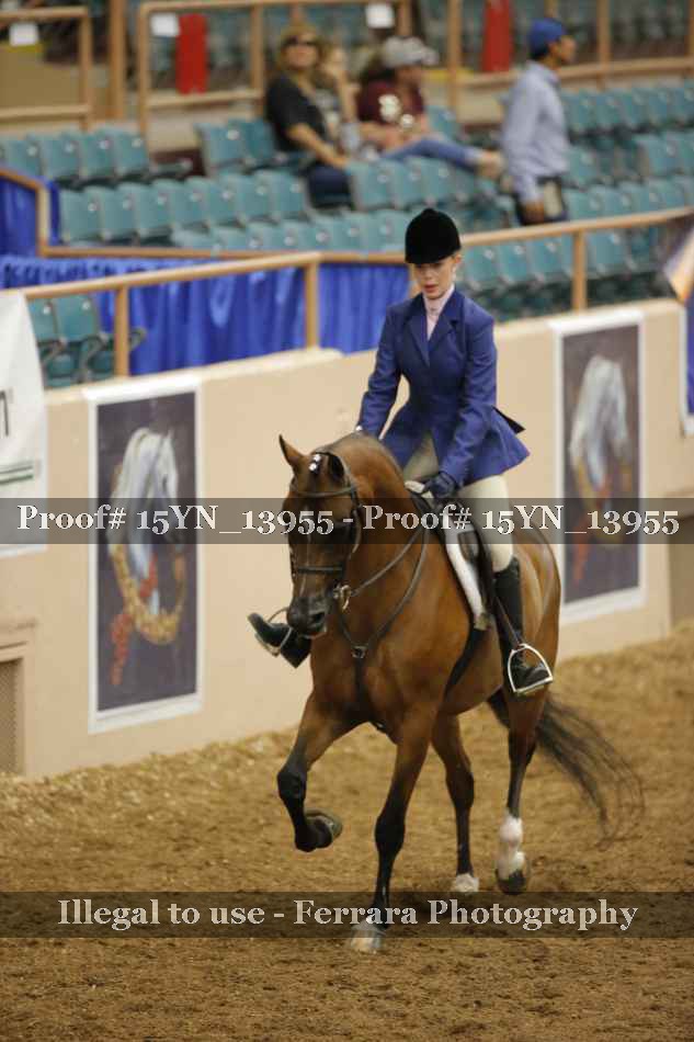 Proof Number 15YN_13955
