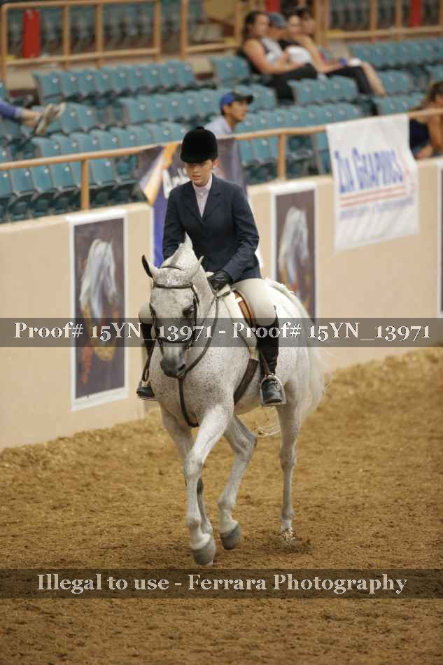 Proof Number 15YN_13971