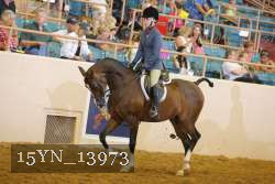 15YN_13973 thumbnail