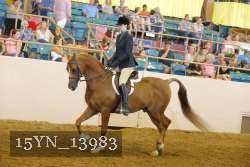 15YN_13983 thumbnail