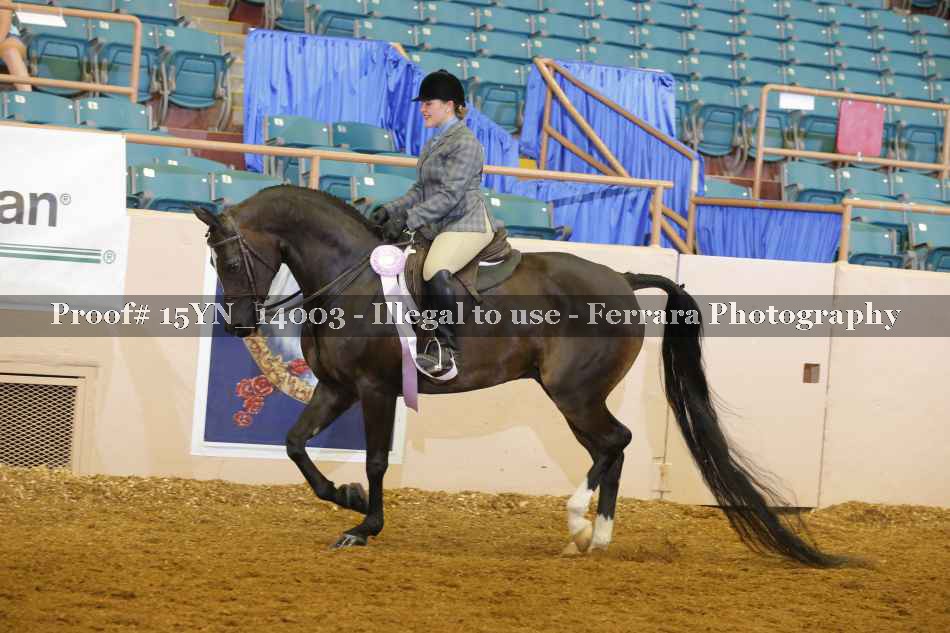 Proof Number 15YN_14003