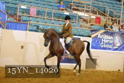 15YN_14020 thumbnail
