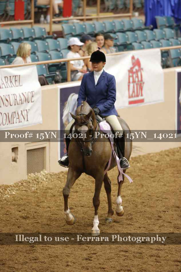 Proof Number 15YN_14021