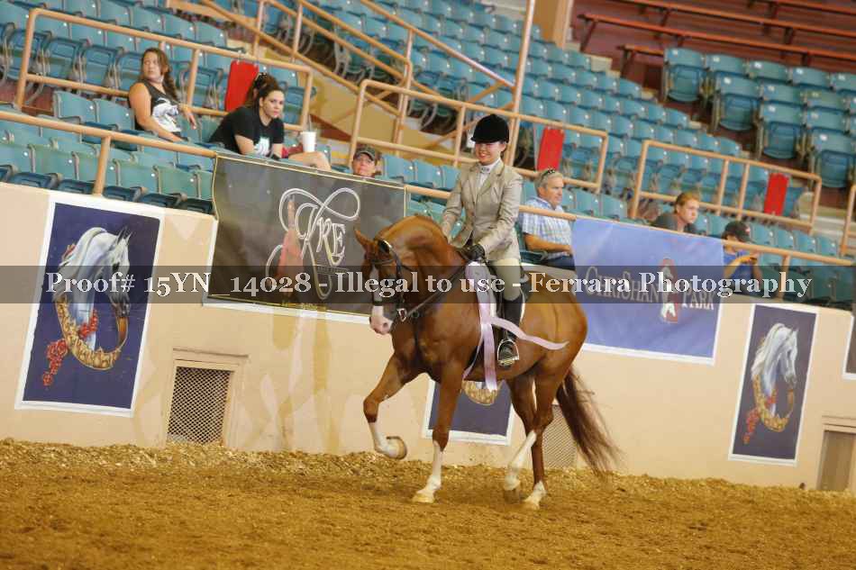 Proof Number 15YN_14028