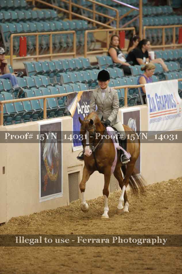 Proof Number 15YN_14031