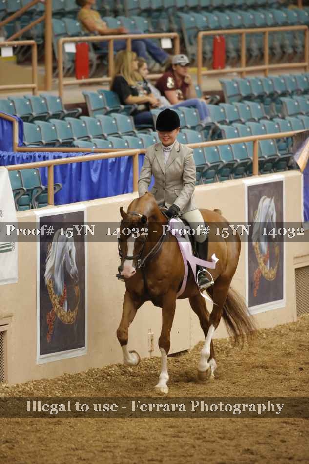 Proof Number 15YN_14032