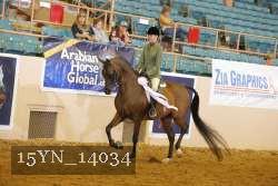 15YN_14034 thumbnail