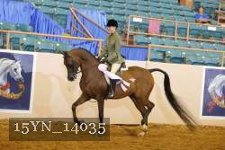15YN_14035 thumbnail