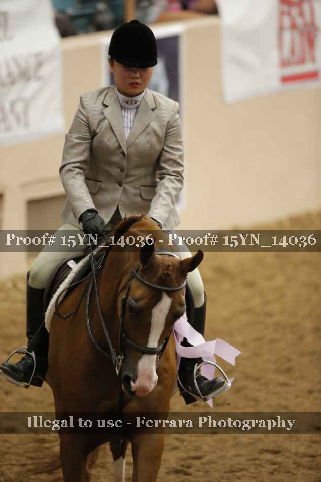 Proof Number 15YN_14036