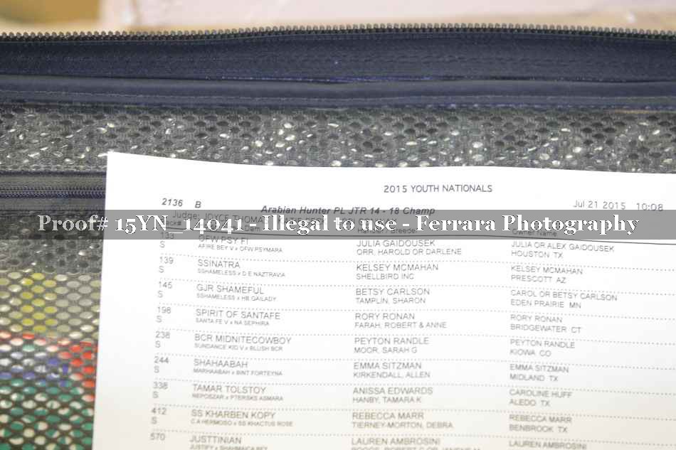 Proof Number 15YN_14041
