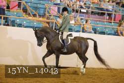 15YN_14043 thumbnail