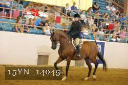 15YN_14045 thumbnail