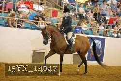 15YN_14047 thumbnail