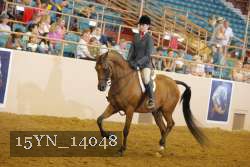 15YN_14048 thumbnail