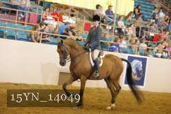 15YN_14049 thumbnail