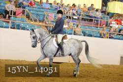 15YN_14051 thumbnail