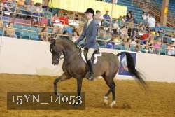 15YN_14053 thumbnail