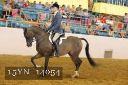 15YN_14054 thumbnail