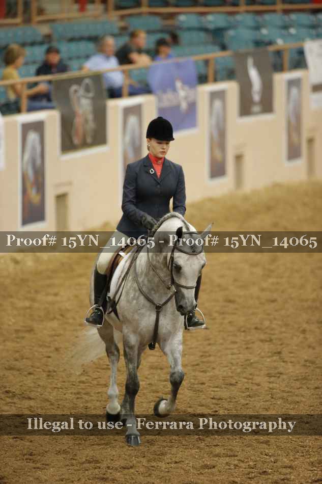 Proof Number 15YN_14065