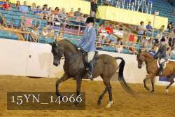 15YN_14066 thumbnail