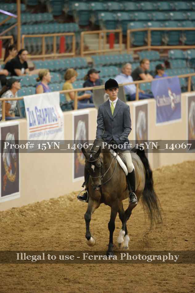 Proof Number 15YN_14067