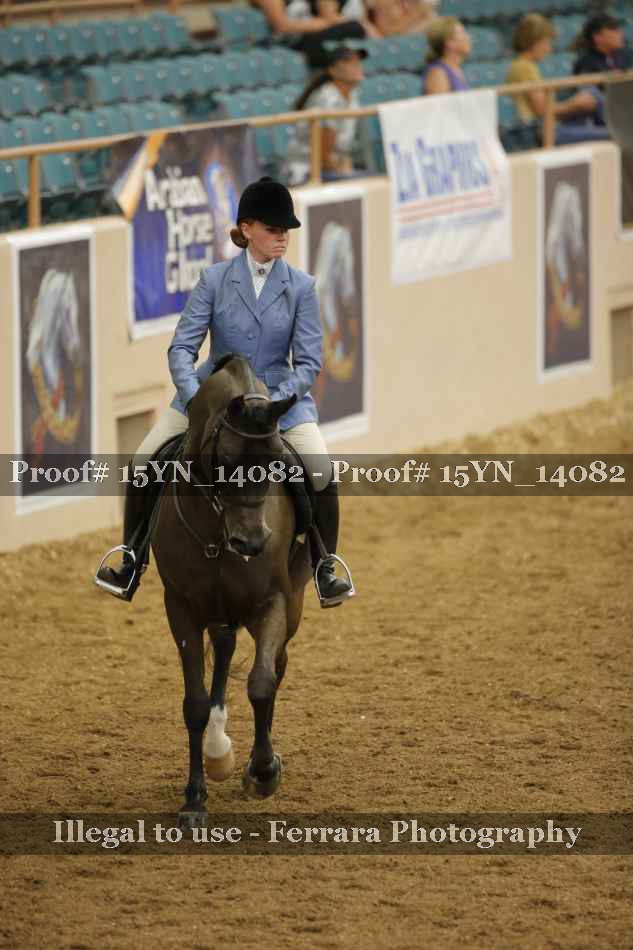 Proof Number 15YN_14082