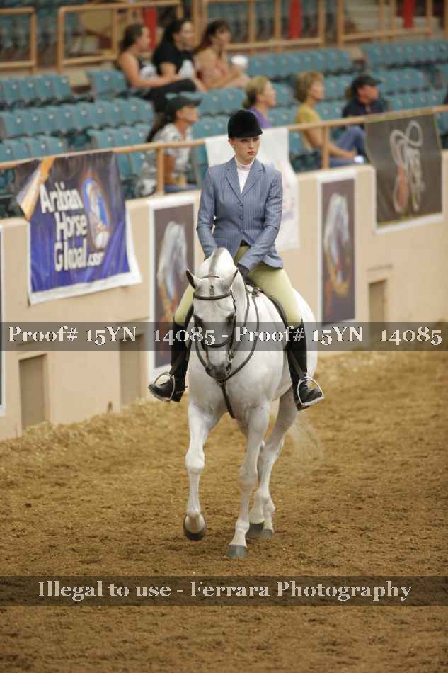 Proof Number 15YN_14085